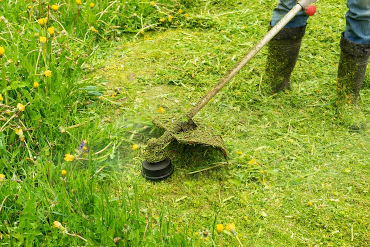 outil de jardinage à la loupe